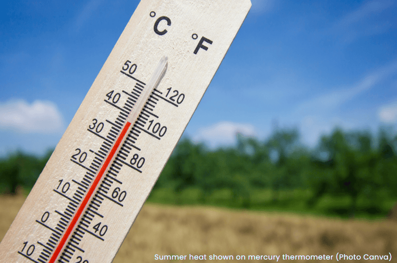 Summer heat shown on a mercury thermometer