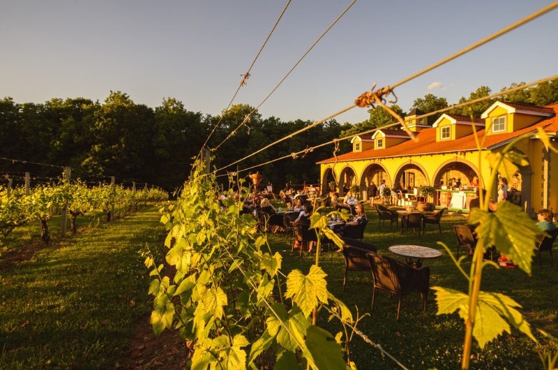 Paradise Hills Vineyard - New Haven, Connecticut