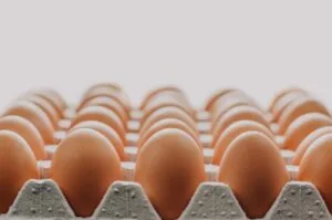 Closeup of eggs in cartons