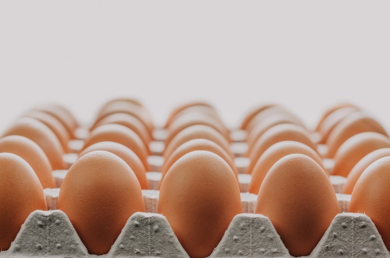 Closeup of eggs in cartons
