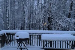 Heavy snowfall coats a residential deck and surrounding tree line as a winter storm that began Sunday moves through the Mid-Atlantic region early Monday morning.