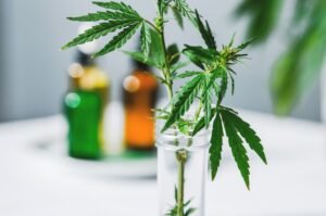 A federal move to lower the classification of some cannabis products could expand medical research and reshape the national marijuana debate.