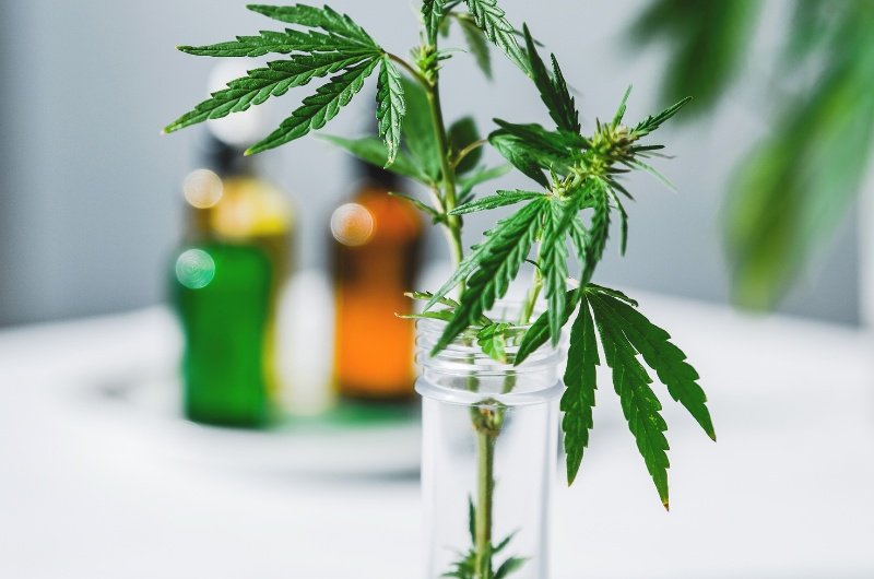 A federal move to lower the classification of some cannabis products could expand medical research and reshape the national marijuana debate.
