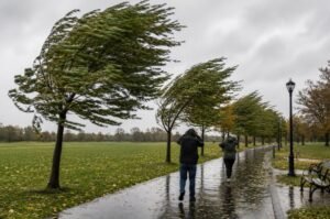 Strong winds bend trees in a public park as forecasters warn that El Niño could increase the risk of extreme weather in parts of the world later this year.