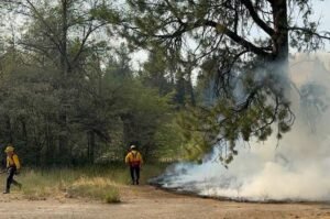 Spokane firefighters work near a wildfire as crews battle fires that have destroyed hundreds of buildings and forced thousands of residents to evacuate across the region.