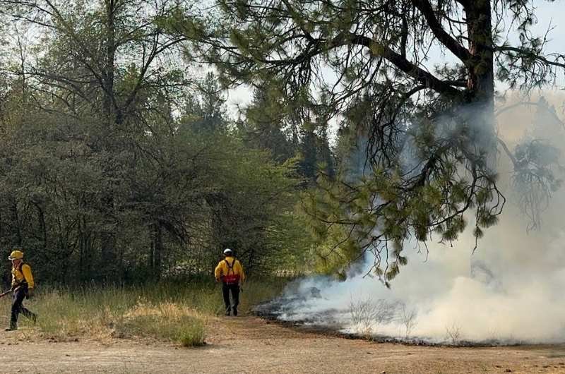 Spokane firefighters work near a wildfire as crews battle fires that have destroyed hundreds of buildings and forced thousands of residents to evacuate across the region.